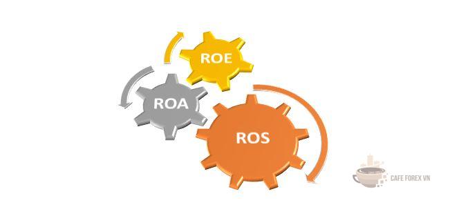 Mối Quan Hệ Chặt Chẽ Giữa Các TSLN Cơ Bản ROS – ROA – ROE