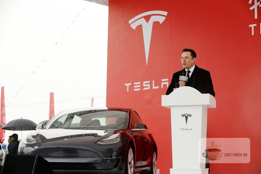 Bốc Hơi Hơn 70% Giá Trị Vốn Hóa, Vì Đâu Tesla Vẫn Được Nhà Đầu Tư Ồ Ạt Mua Vào?