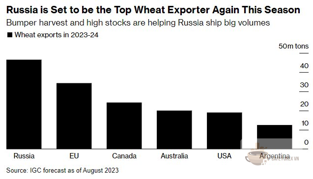 Nga có vụ thu hoạch lúa mì cao kỷ lục trong năm thứ hai liên tiếp