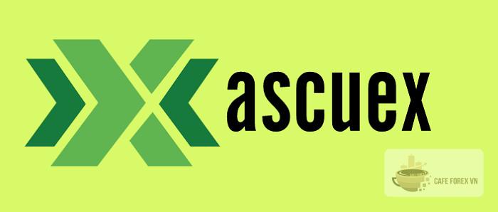 Đánh giá tổng quan về sàn Ascuex